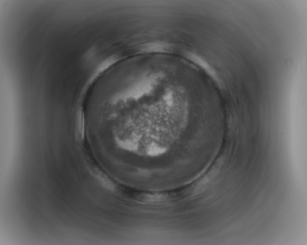X0000115511219200911061349
