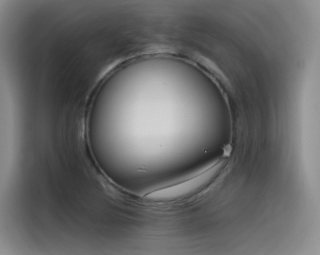 X0000115511220200911061349