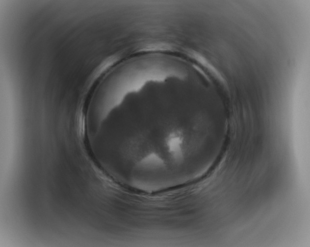 X0000115511221200911061349