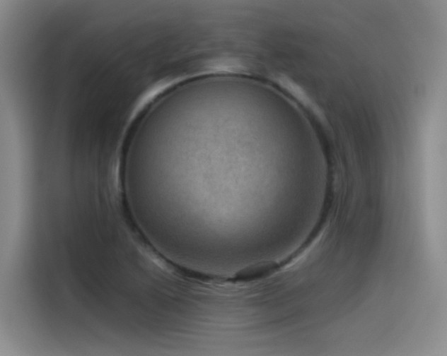 X0000115511222200911061349