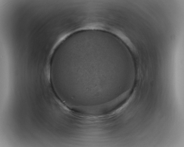 X0000115511224200911061349