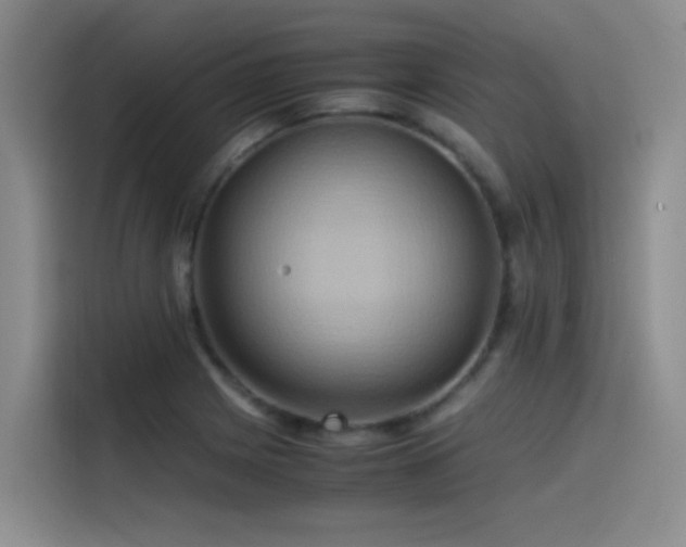 X0000115511225200911061350