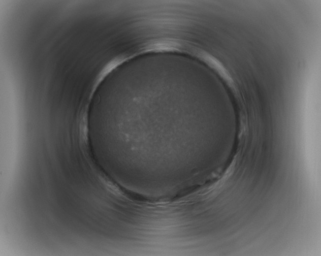 X0000115511226200911061350