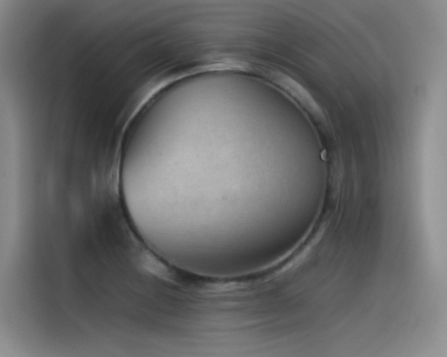 X0000115511228200911061350