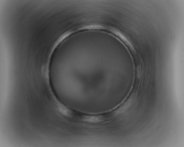 X0000115511229200911061350