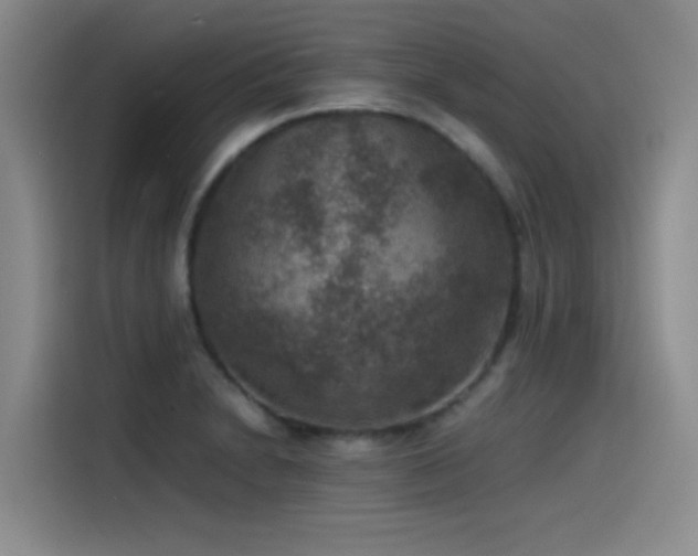 X0000115511230200911061350