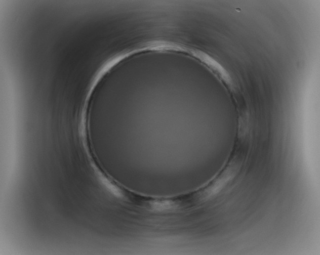 X0000115511231200911061350