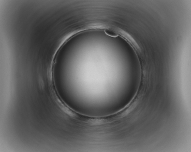 X0000115511236200911061350