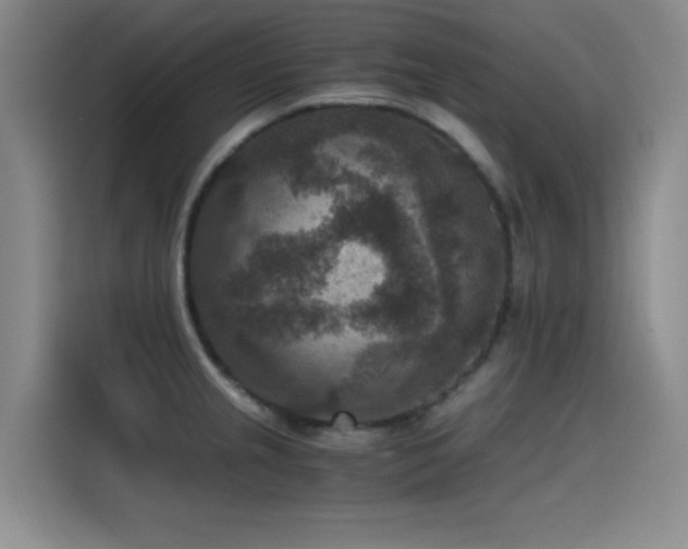 X0000115511237200911061350