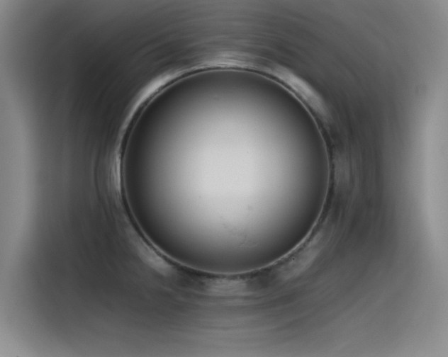 X0000115511238200911061350