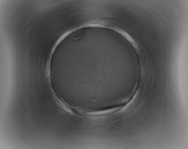 X0000115511240200911061350