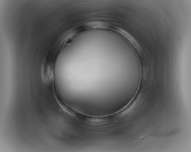 X0000115511241200911061350