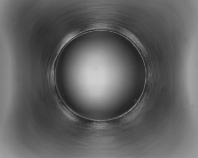 X0000115511242200911061350