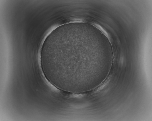 X0000115511243200911061350