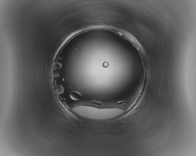 X0000115511244200911061350