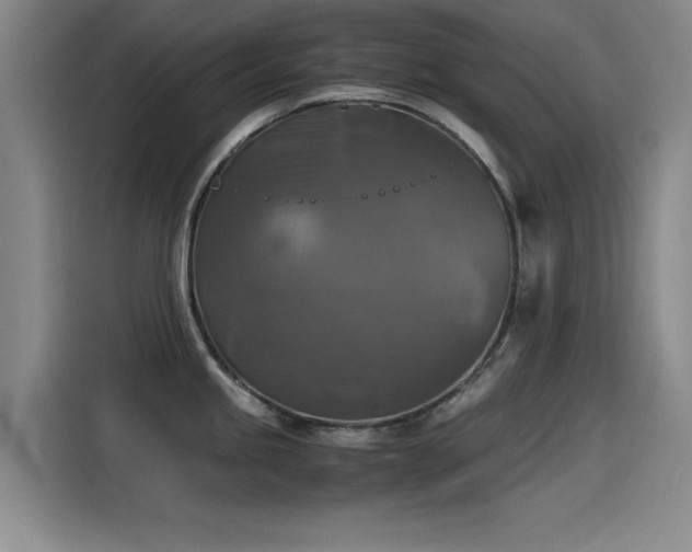 X0000115511245200911061350