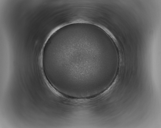 X0000115511246200911061350