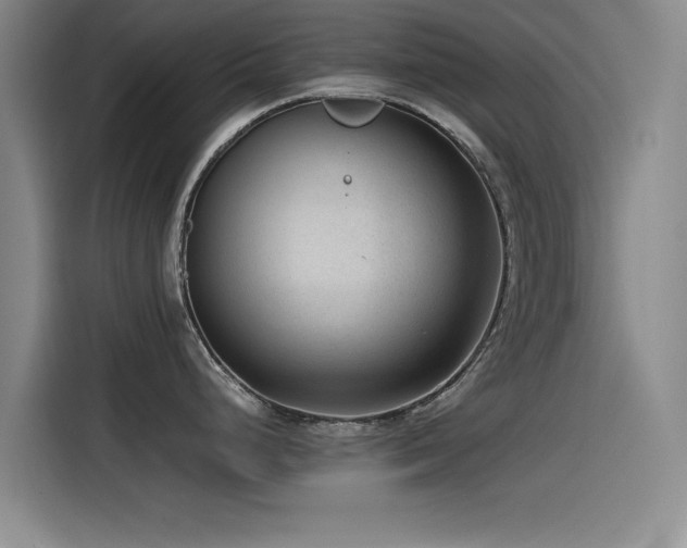 X0000115511248200911061350