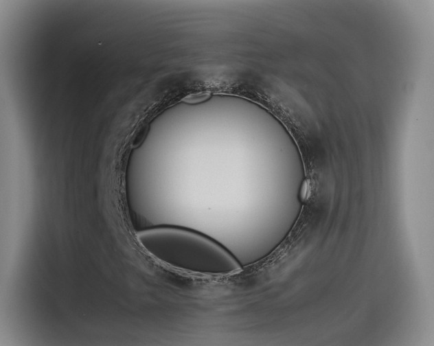 X0000115511249200911061349