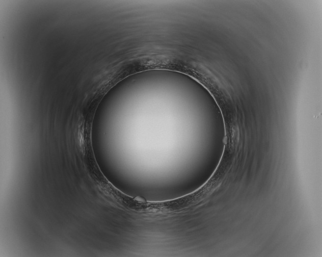 X0000115511250200911061349