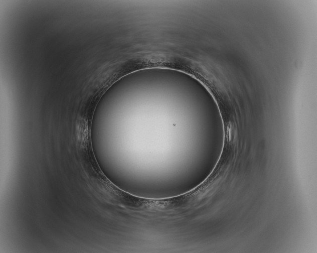 X0000115511251200911061349