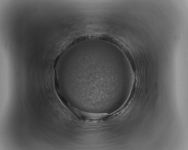 X0000115511252200911061349
