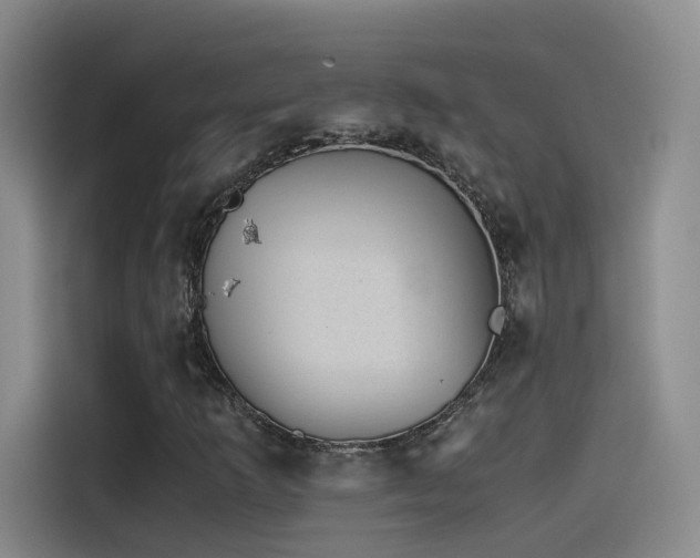 X0000115511253200911061349