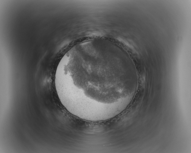 X0000115511254200911061349