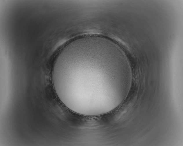 X0000115511255200911061349