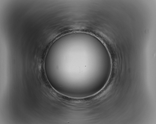 X0000115511257200911061349