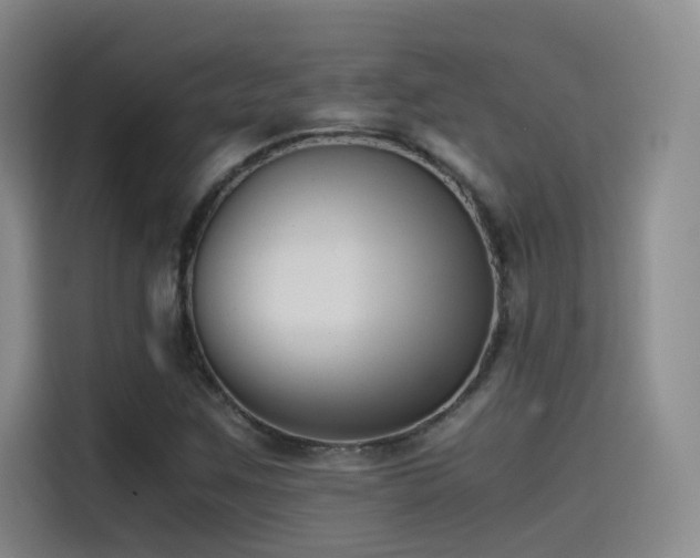 X0000115511259200911061349
