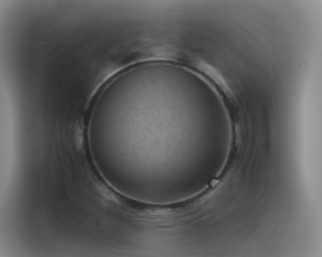 X0000115511260200911061349
