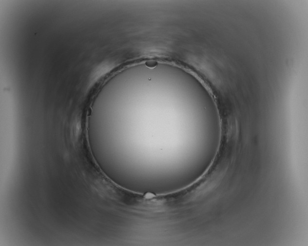X0000115511261200911061349