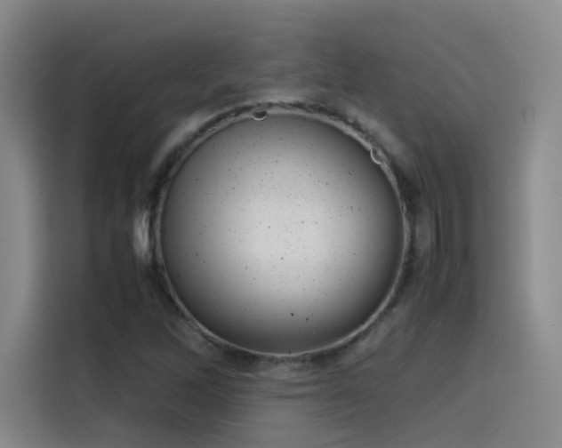 X0000115511262200911061349