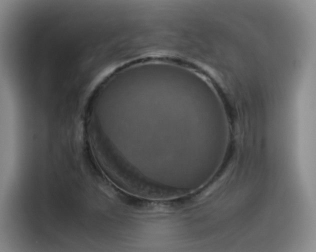 X0000115511263200911061349