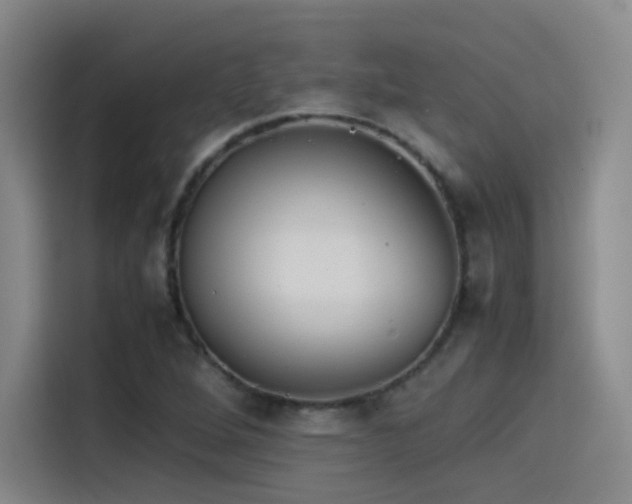 X0000115511264200911061349