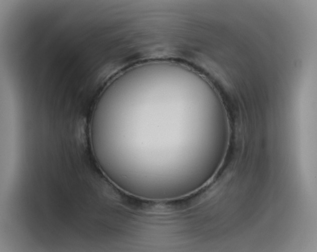 X0000115511265200911061349