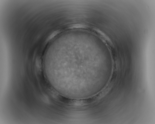 X0000115511266200911061349