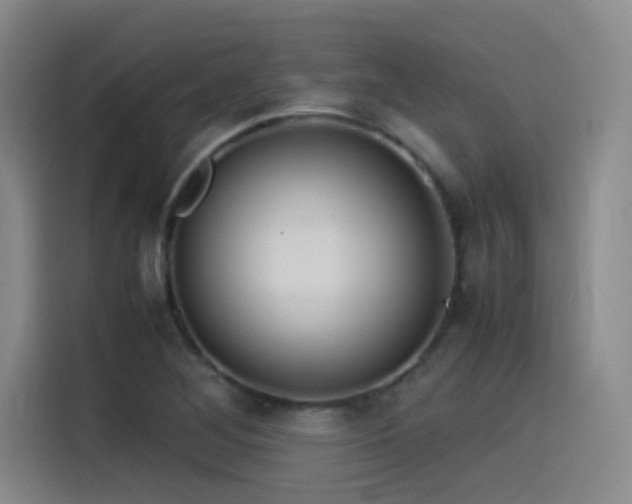 X0000115511268200911061349