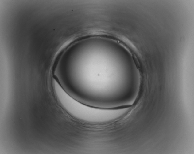 X0000115511269200911061349