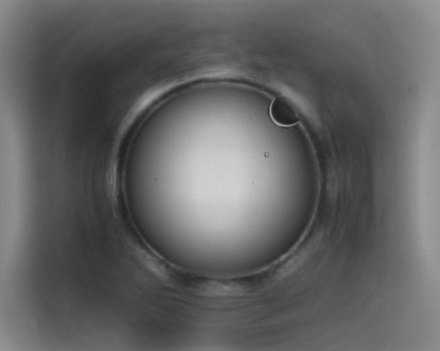 X0000115511270200911061349