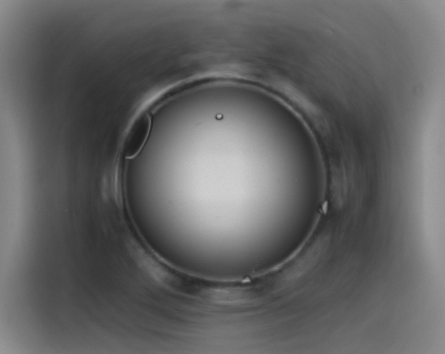 X0000115511272200911061349