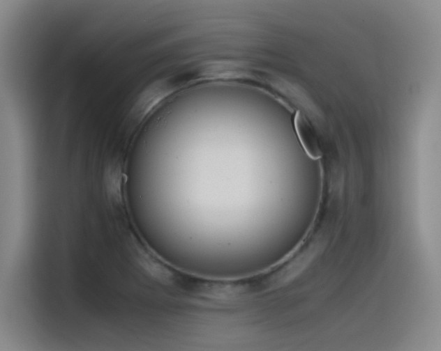 X0000115511273200911061349