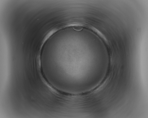 X0000115511274200911061349
