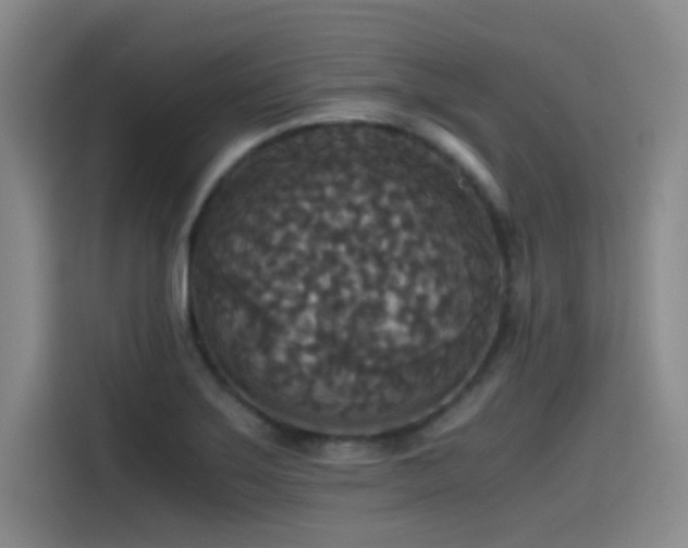 X0000115511275200911061349
