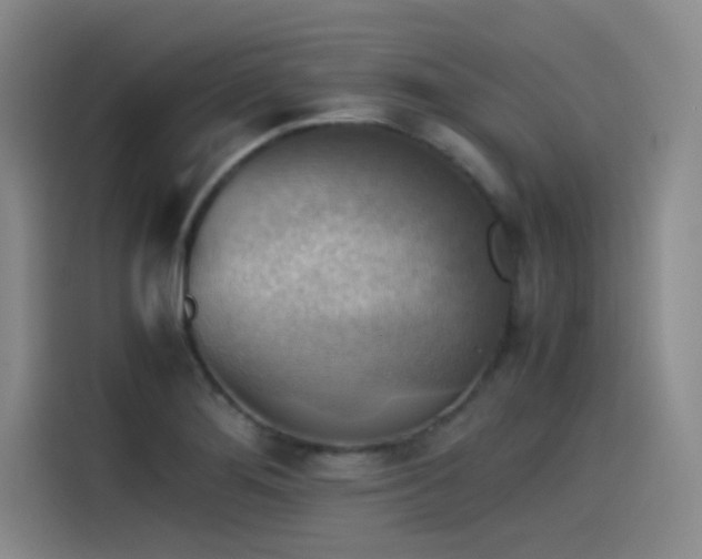 X0000115511276200911061349