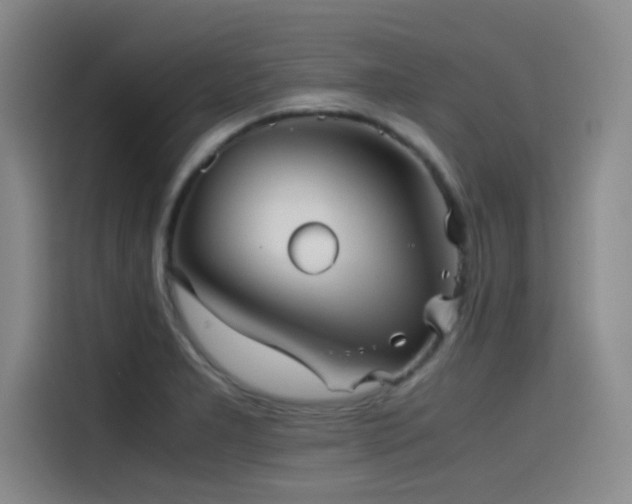 X0000115511277200911061349