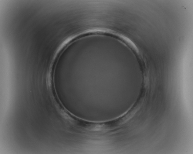 X0000115511279200911061349