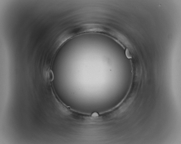 X0000115511281200911061349