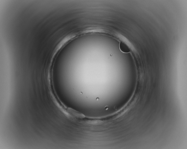 X0000115511282200911061349